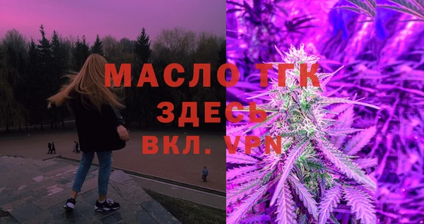стафф Каменка