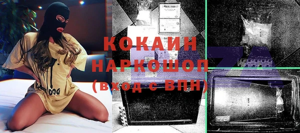стафф Каменка