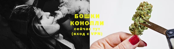стафф Каменка