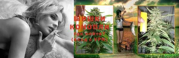 прущая мука Каменногорск