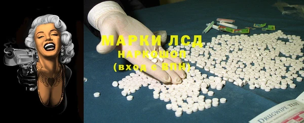 стафф Каменка