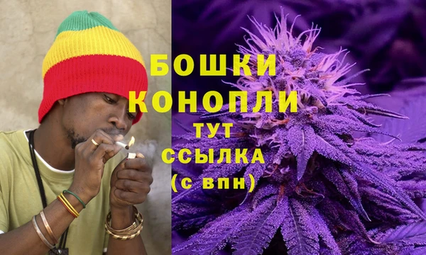 стафф Каменка