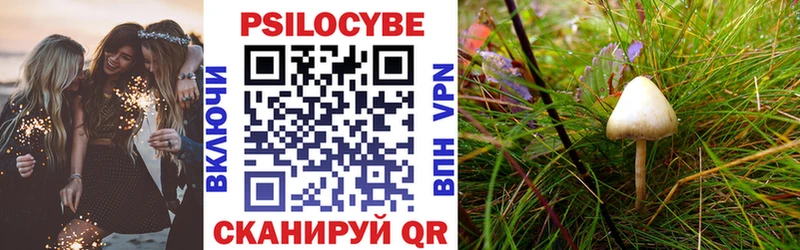 Купить где  Калининск  Псилоцибиновые грибы Cubensis 